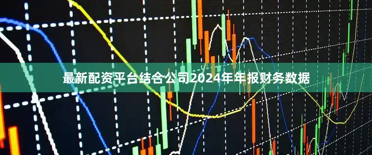最新配资平台结合公司2024年年报财务数据